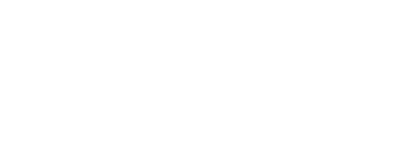 Levels logo white no background
