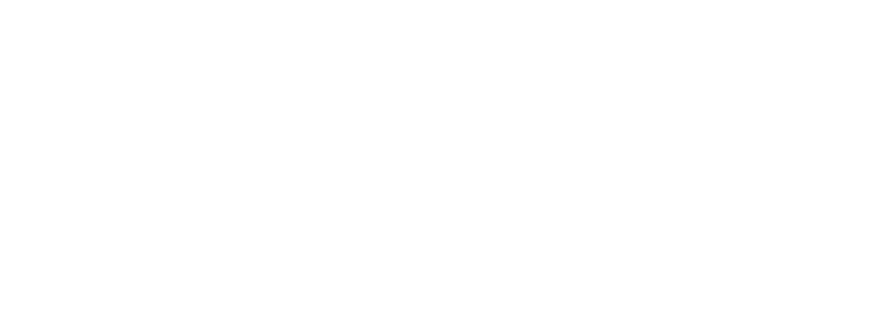 Levels logo white no background